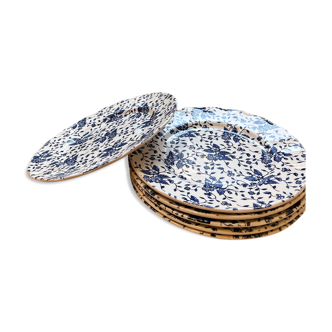 Blue Flower Plates Tudor Royal Grindley