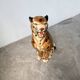 XL Italian ceramic leopard sculpture statue 1970