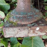 Paire de vases medicis fonte