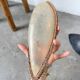 Lampadaire bronze et corde 1970