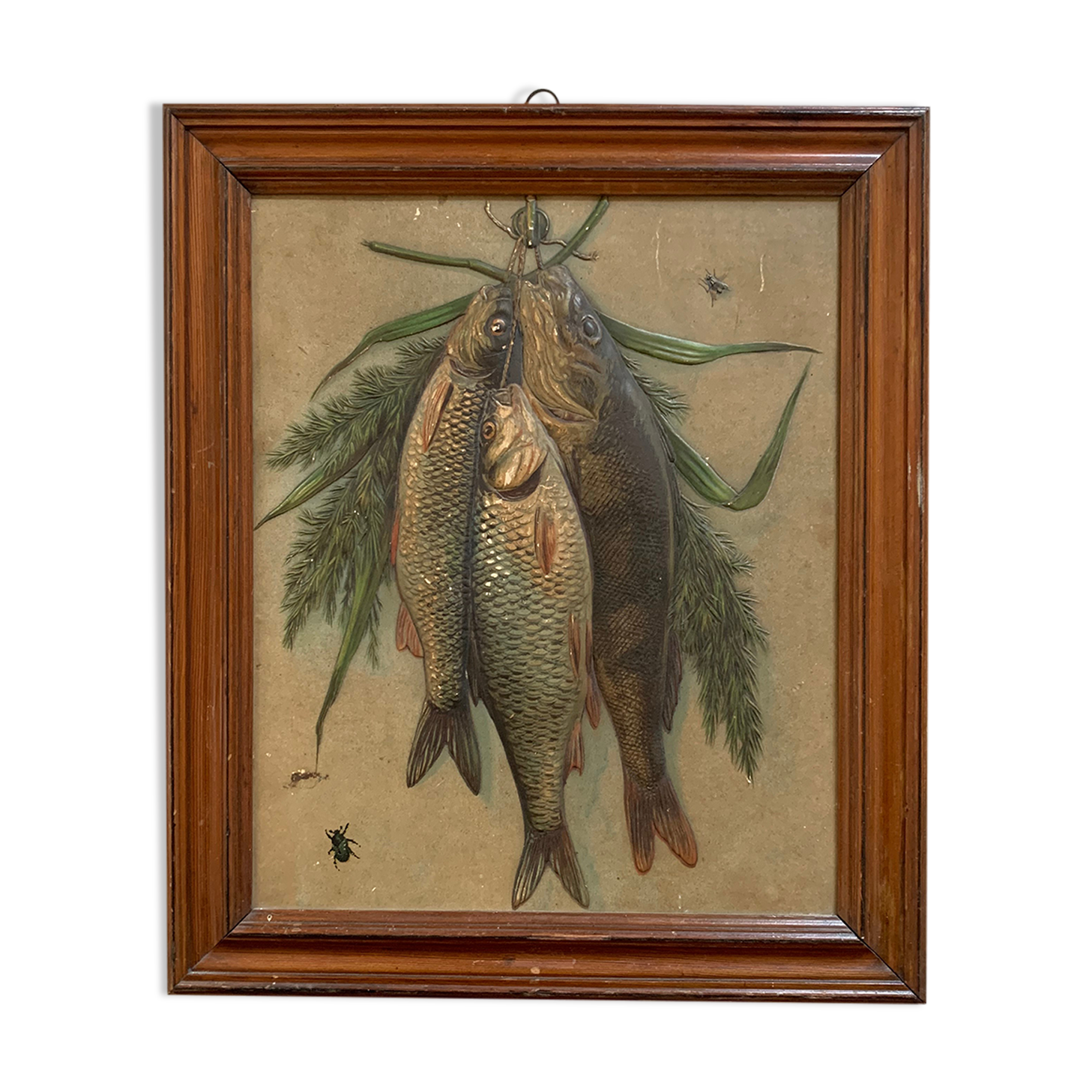 Still life, old fish trophy table