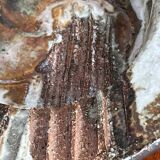 Bowl in studio pottery from mid-century Danish by Aksel Larsen for Axella, 1960s.