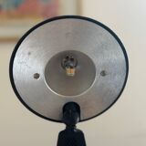 Toucan Lamp - Patrice Bonneau