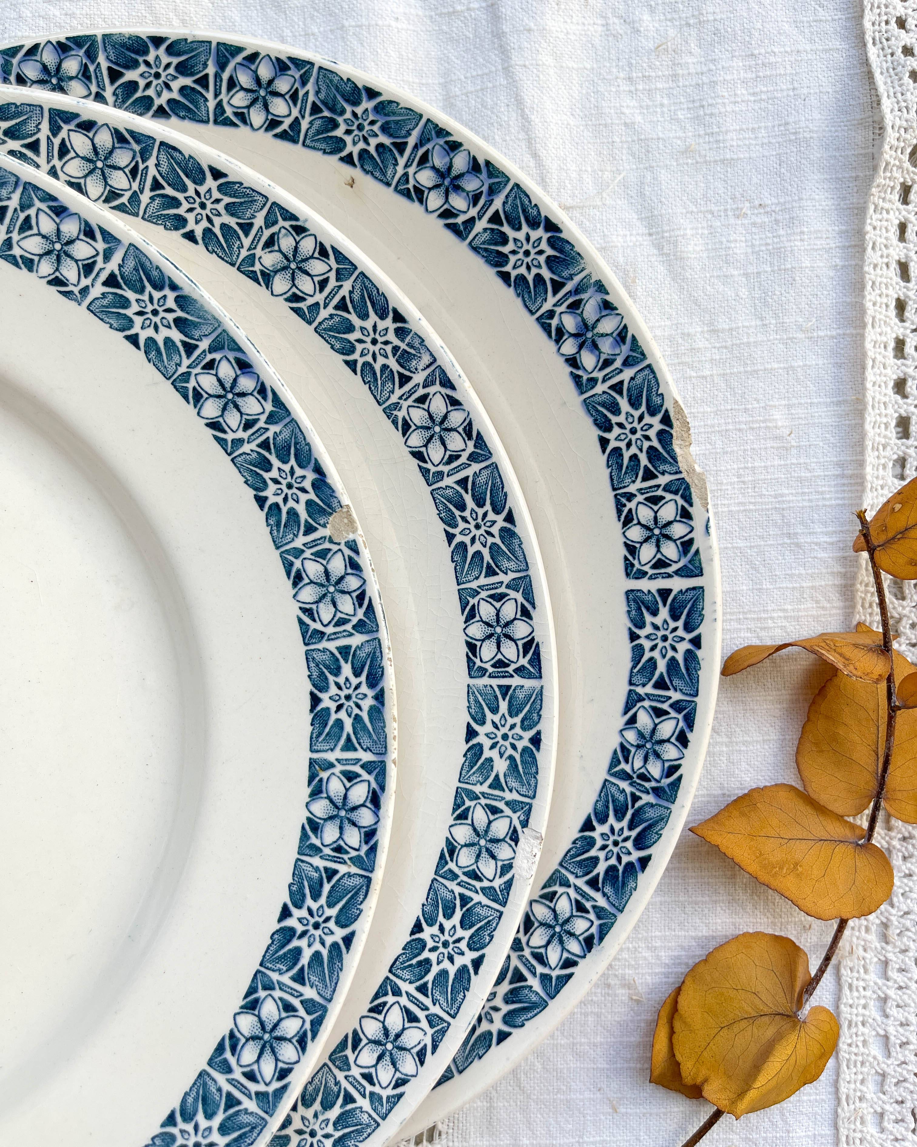 6 Flat plates Terre de fer Longchamp model René Made in France