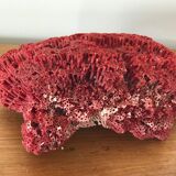 Red coral