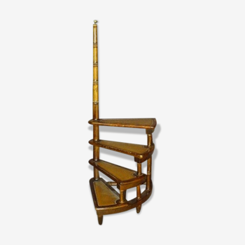 Stepladder library staircase