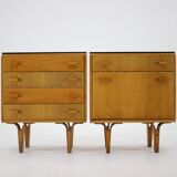 1960s Frantisek Mezulanik Pair of Chest of Drawers, Czechoslovakia