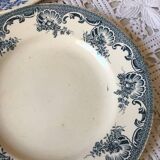 Six flowery old plates in green and blue