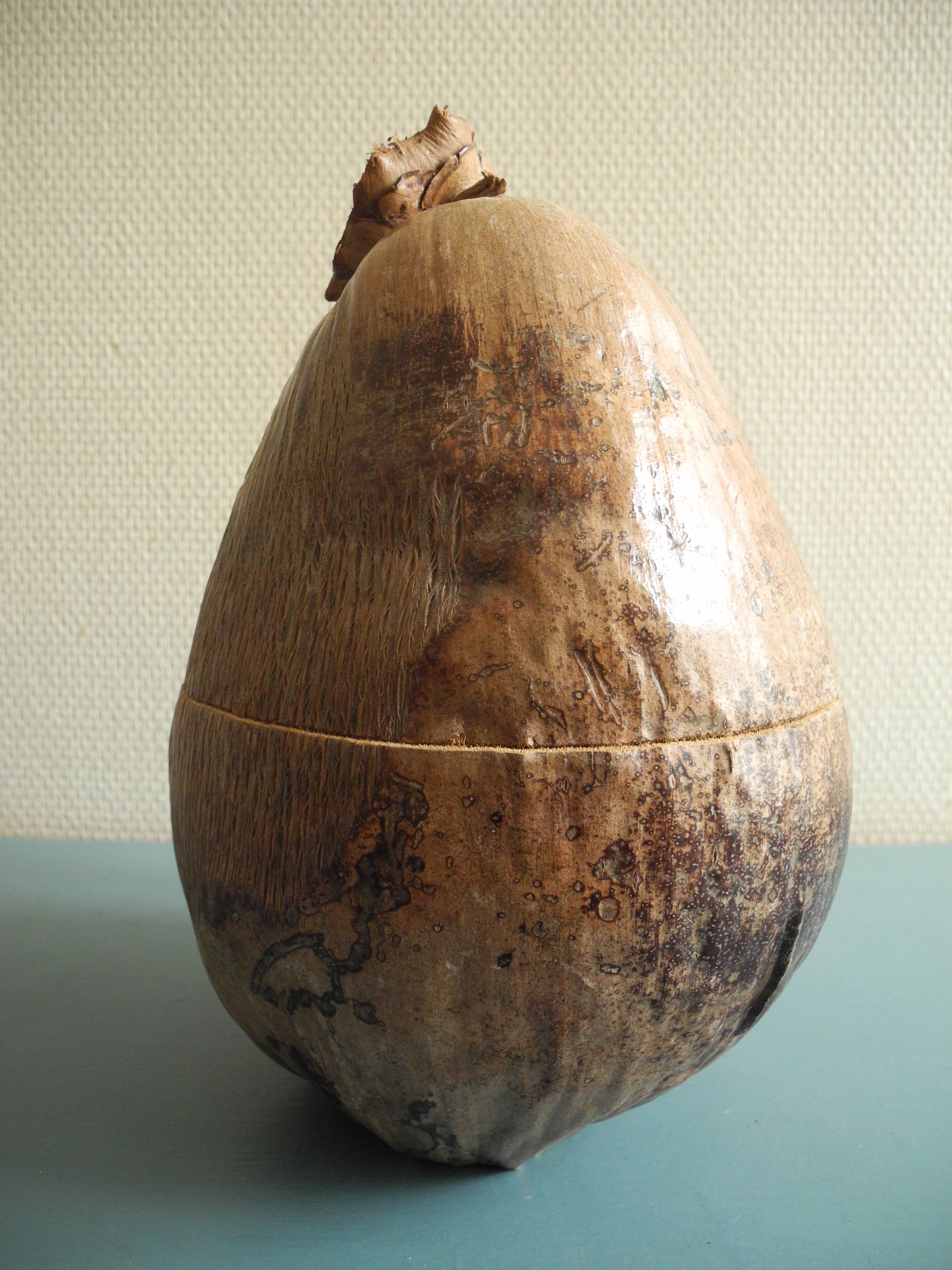 Old coconut ice bucket vintage decor ice bucket coconut 70s