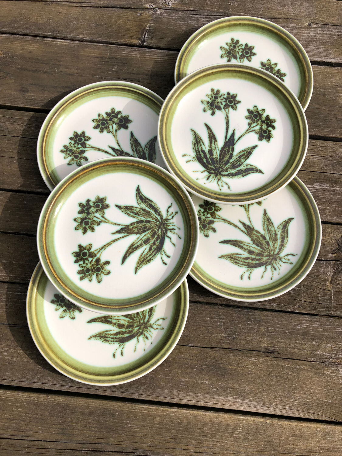Gien enamelled sandstone dessert plates "Herbier"