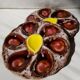Set of 2 Vallauris ceramic oyster plates serving dishes