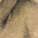 Drawing old lead mine A.M Portrait Man Moustache
