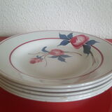Set of 5 Saint amand plates