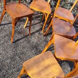 6 Baumann n°55 chairs from the 1950s