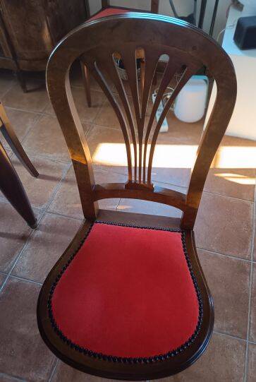 Vends 6chaises faisant partie d'une salle à manger complète en loupe d'orme
