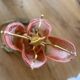 Leaf Lamp / Murano