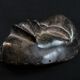African Art - Old Dan Ethnic Running Mask - Ivory Coast - 22.5