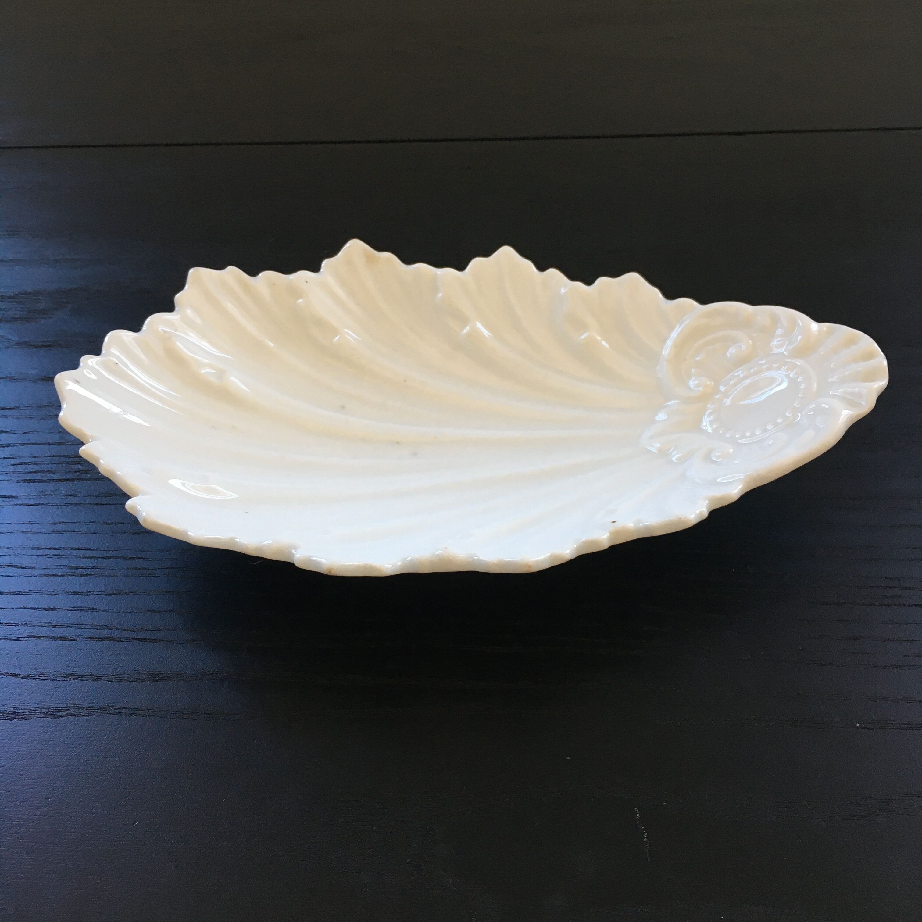 Empty white shell pocket