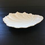 Empty white shell pocket