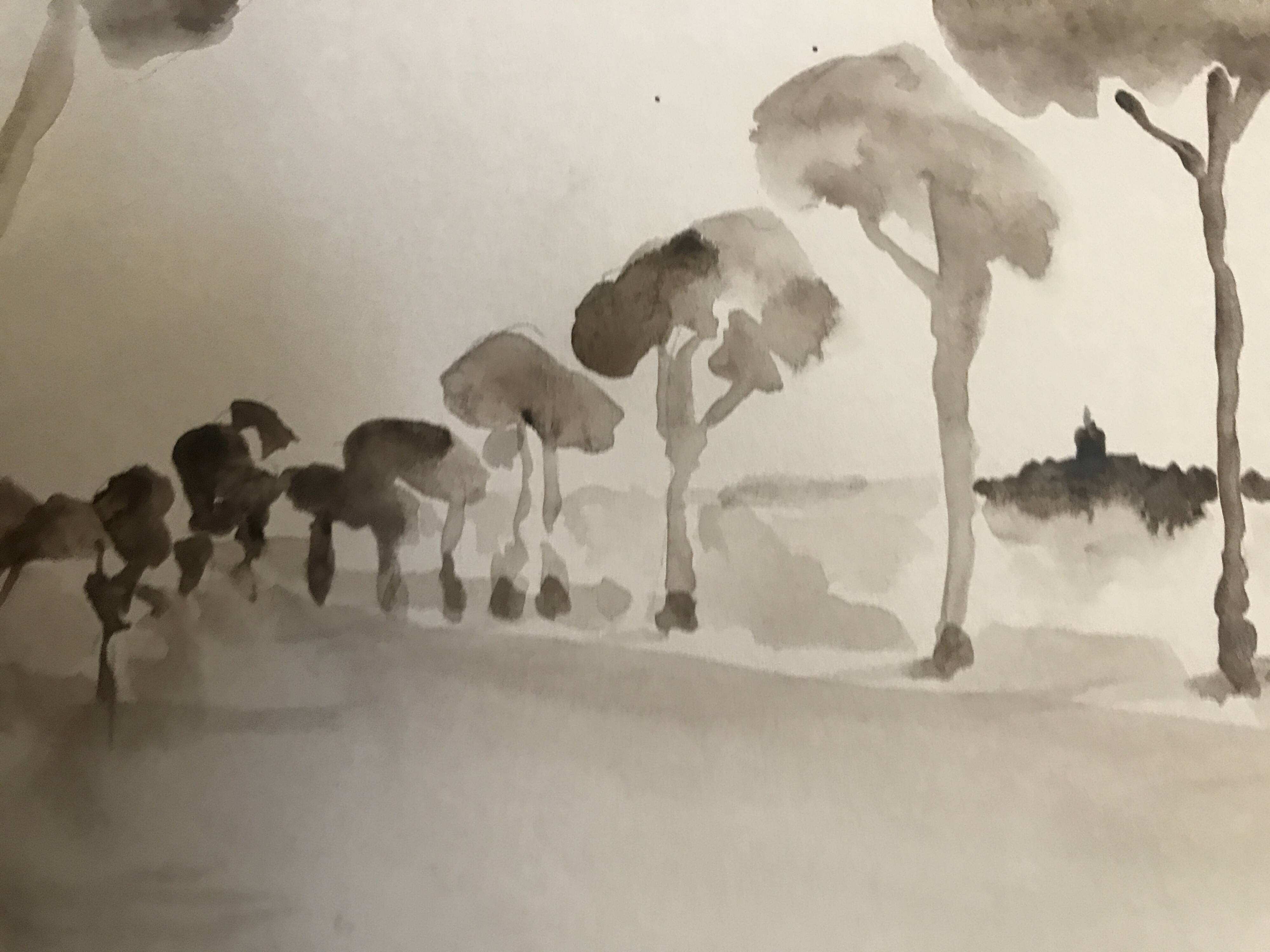 Painting signed monochrome watercolor “pine forest in Provence”