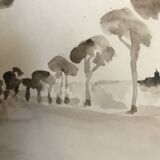 Painting signed monochrome watercolor “pine forest in Provence”