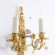 Pair of bronze wall lights with flower decoration. Circa 1880.