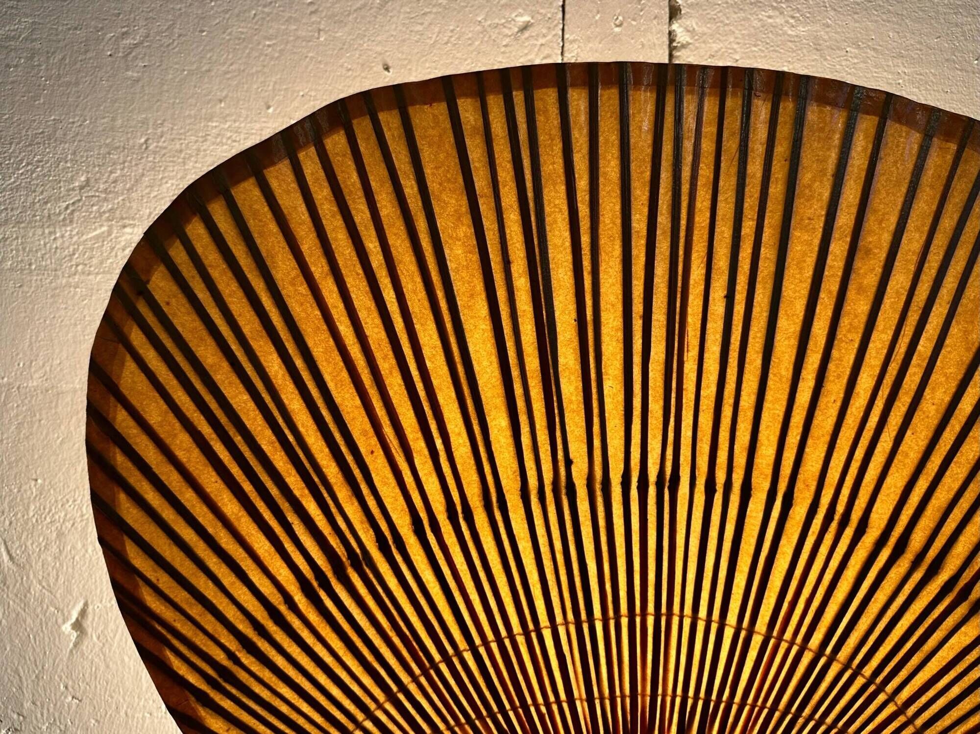 Pair Of Ingo Maurer Uchiwa III Wall Lamps For M-Design, 1973