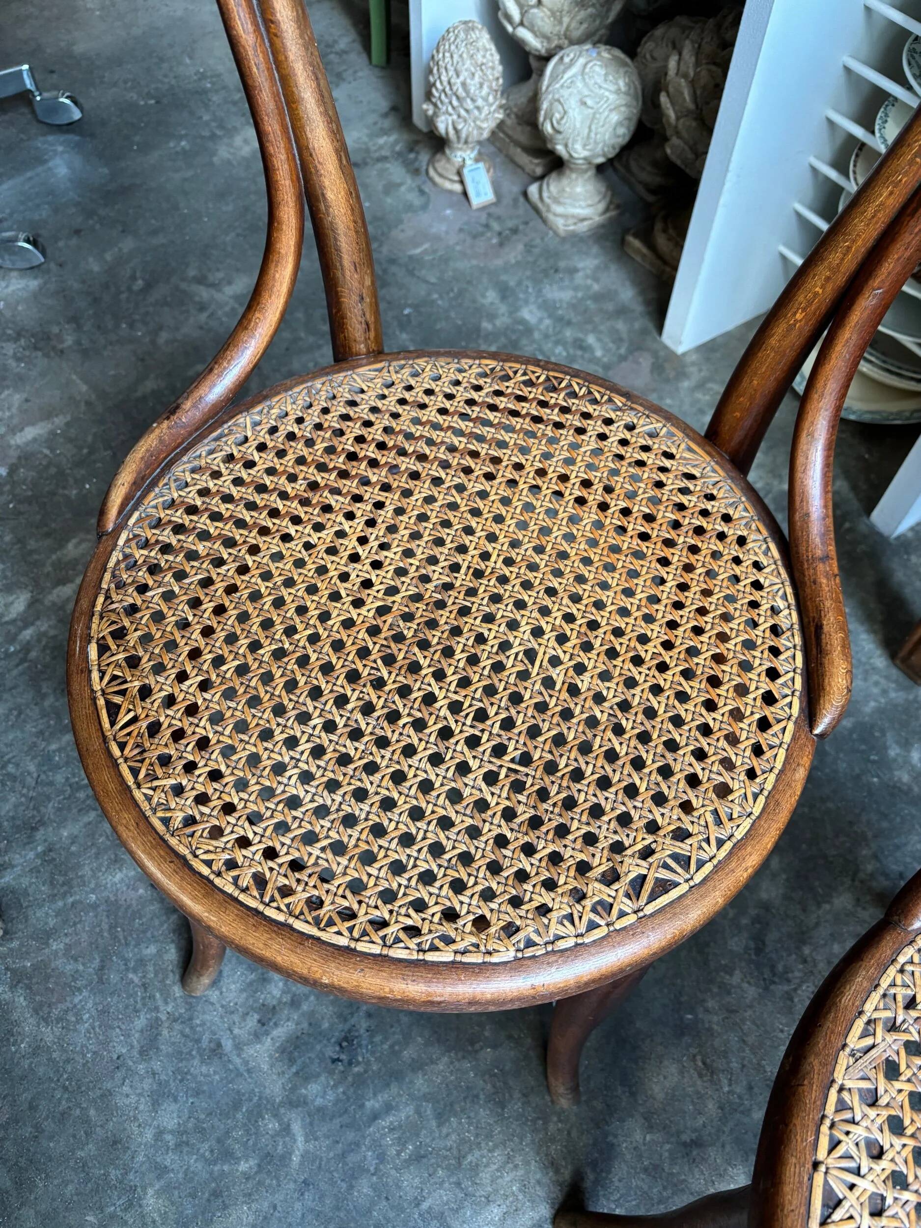 2 Thonet chairs no. 31 in bent beech and caning