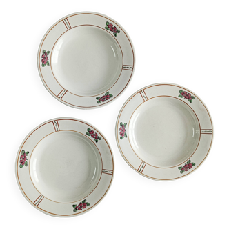 Lot de 3 assiettes creuses Salins, nénuphar