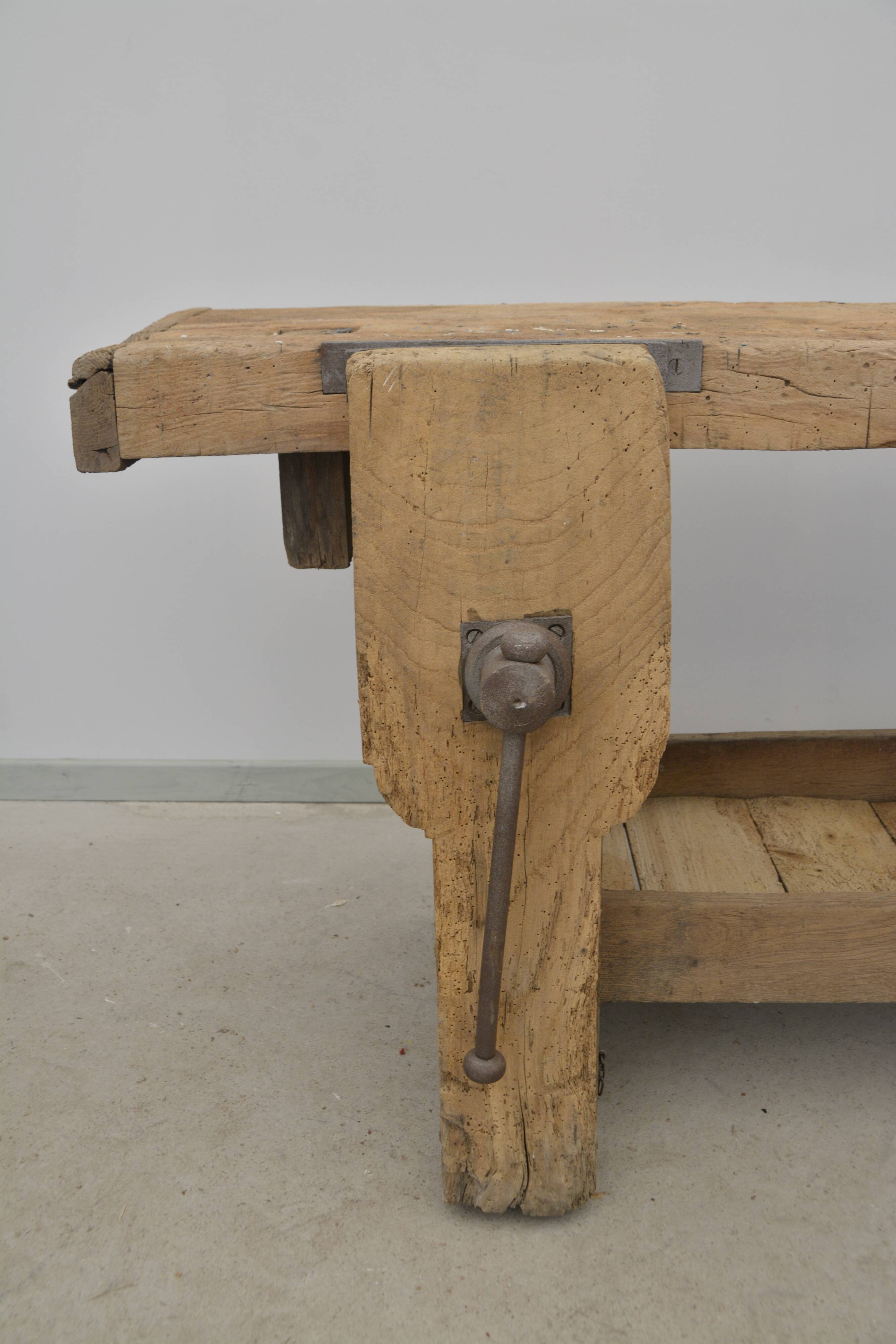 Oak establishment from the 30s