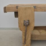 Oak establishment from the 30s