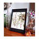 Framed pharmaceutical board