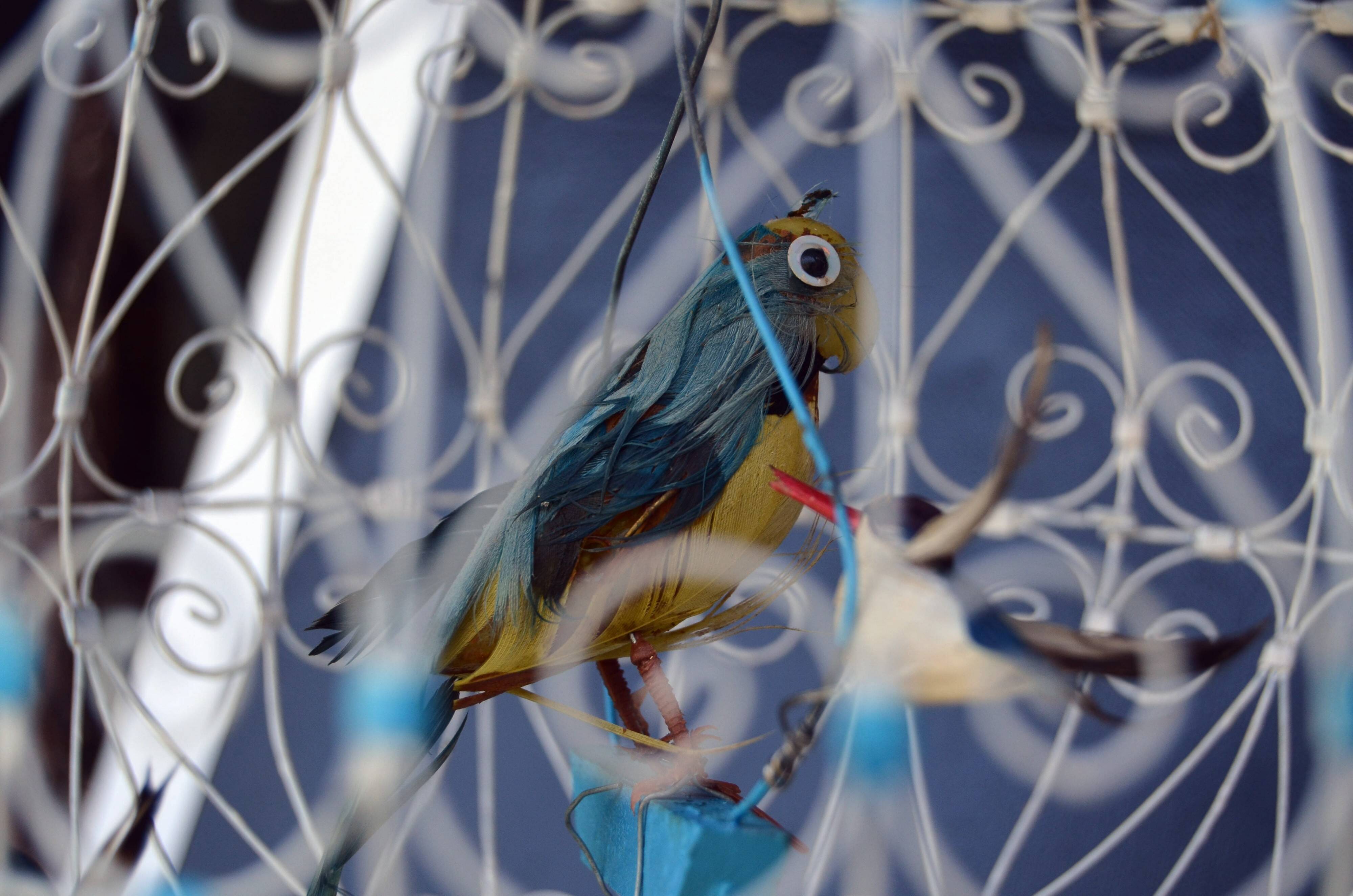 Old Bird Cage Sidi Bou Said