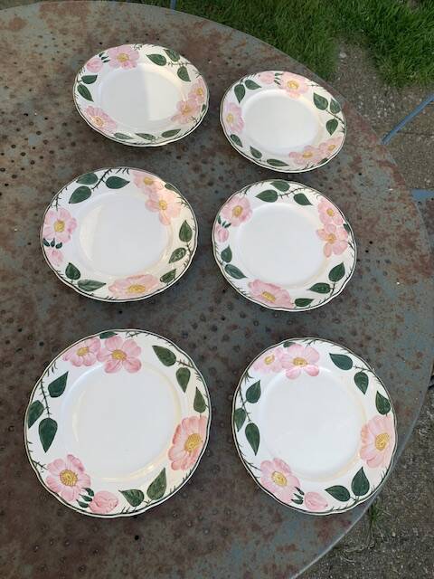 6 small earthenware dessert plates, Villeroy and Boch, wild rose, hawthorn, west germany
