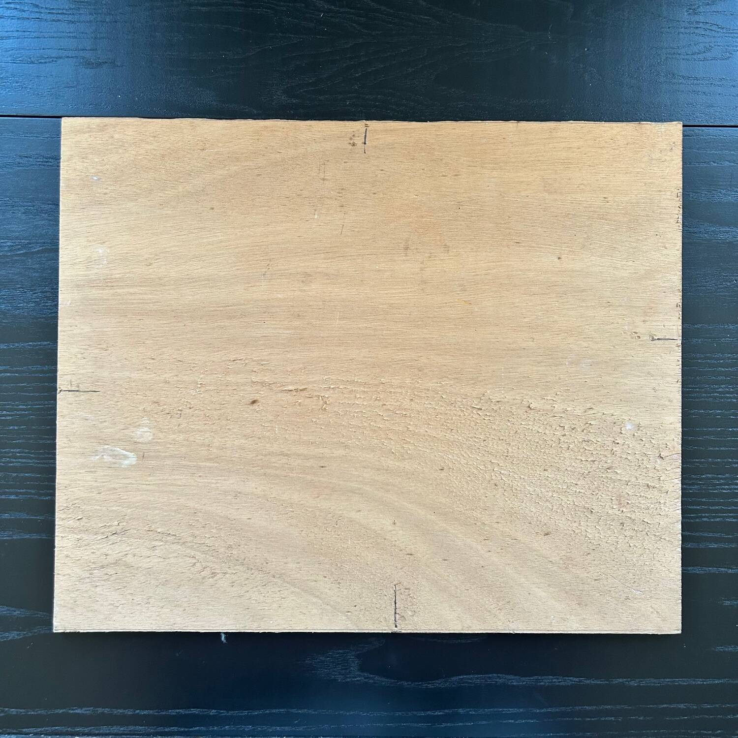 Autumn still life painting