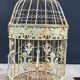 Classic metal bird cage