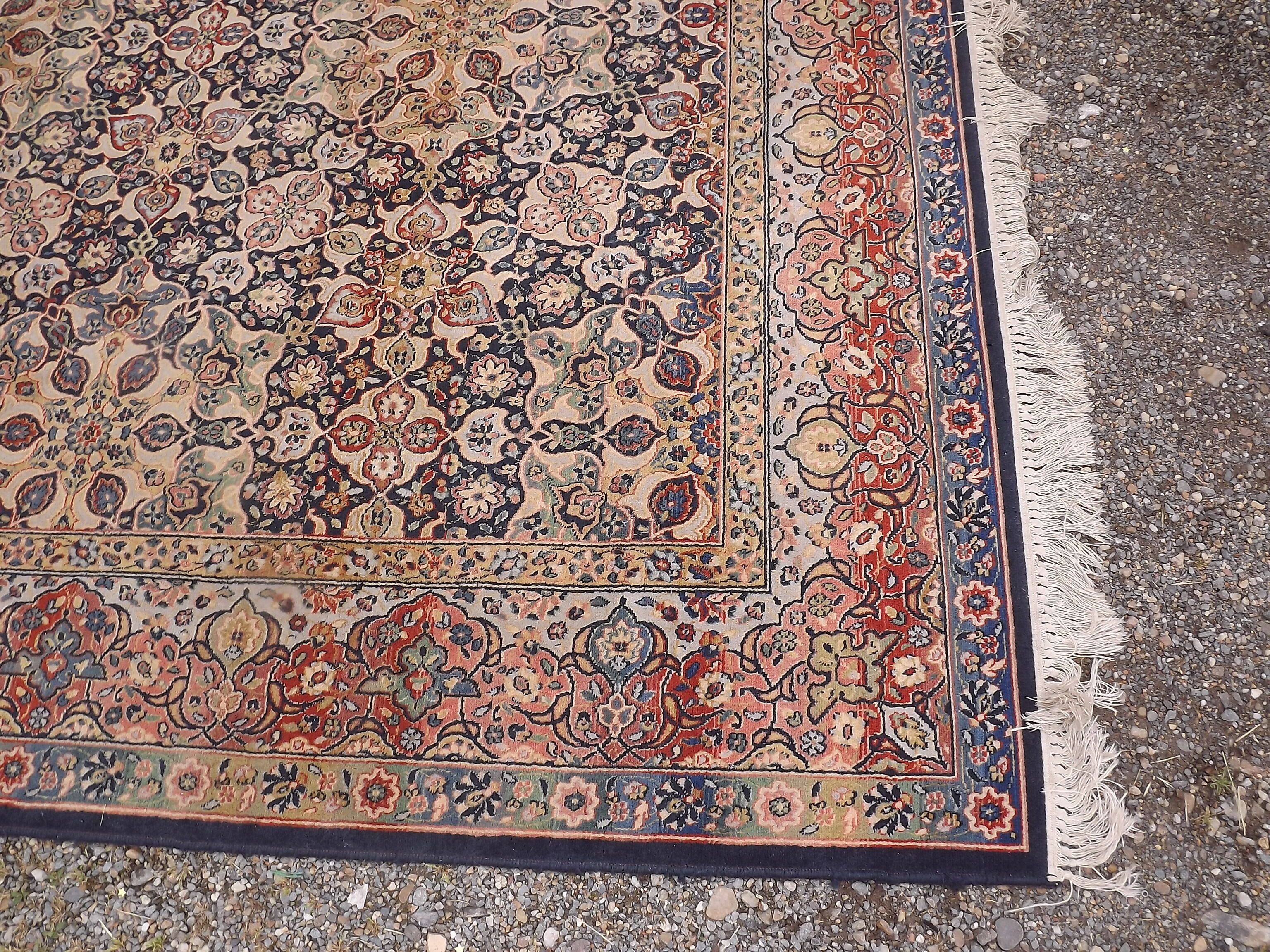 Woolmark rug pure Virgin wool 236 by 330