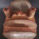 Masque Bete Côte I années 50-60