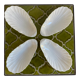 Antique porcelain cups scallops