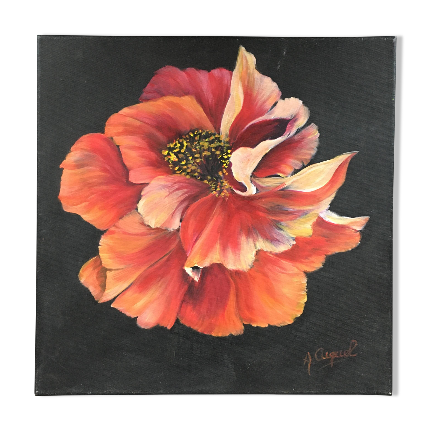 Pink peony painting on black background