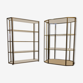Duo of brass and glass showcases