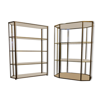 Duo of brass and glass showcases