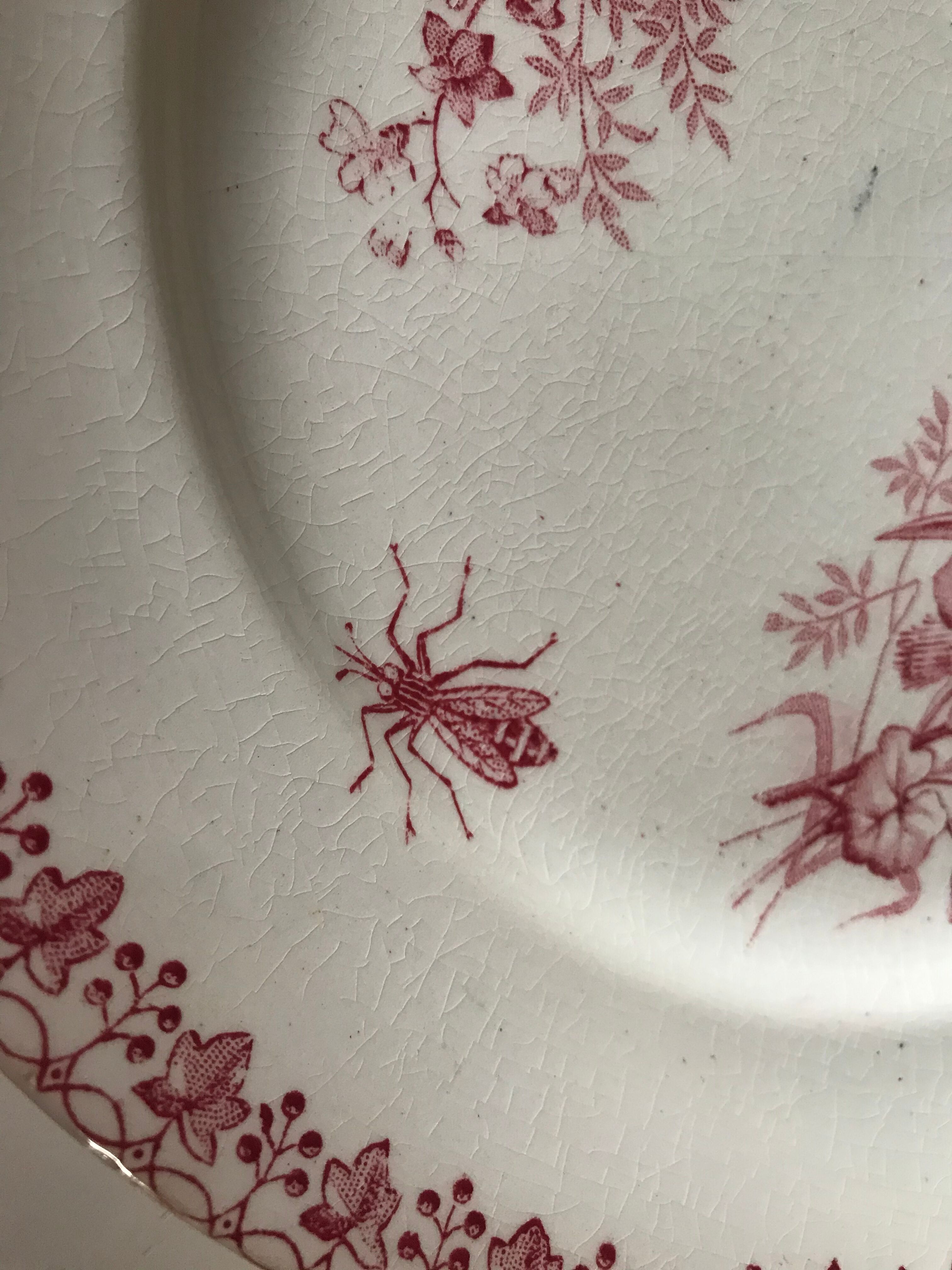 Lot of 9 plates iron earth circa 1900