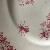 Lot of 9 plates iron earth circa 1900