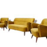 Organic Chair of the 1950s