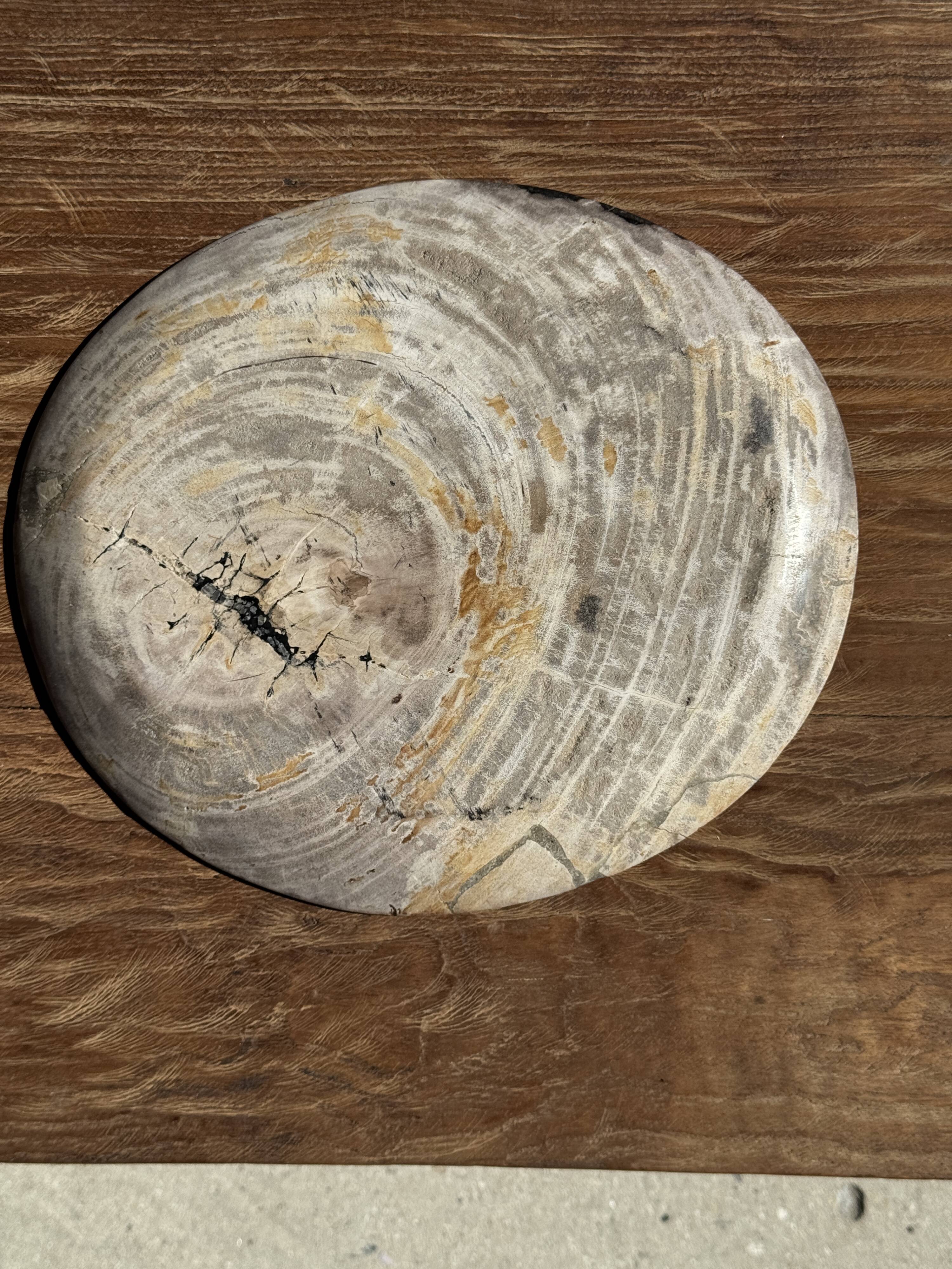 Petrified wood catchall or dish, grey with black rim, D29.5x25.5 -3321
