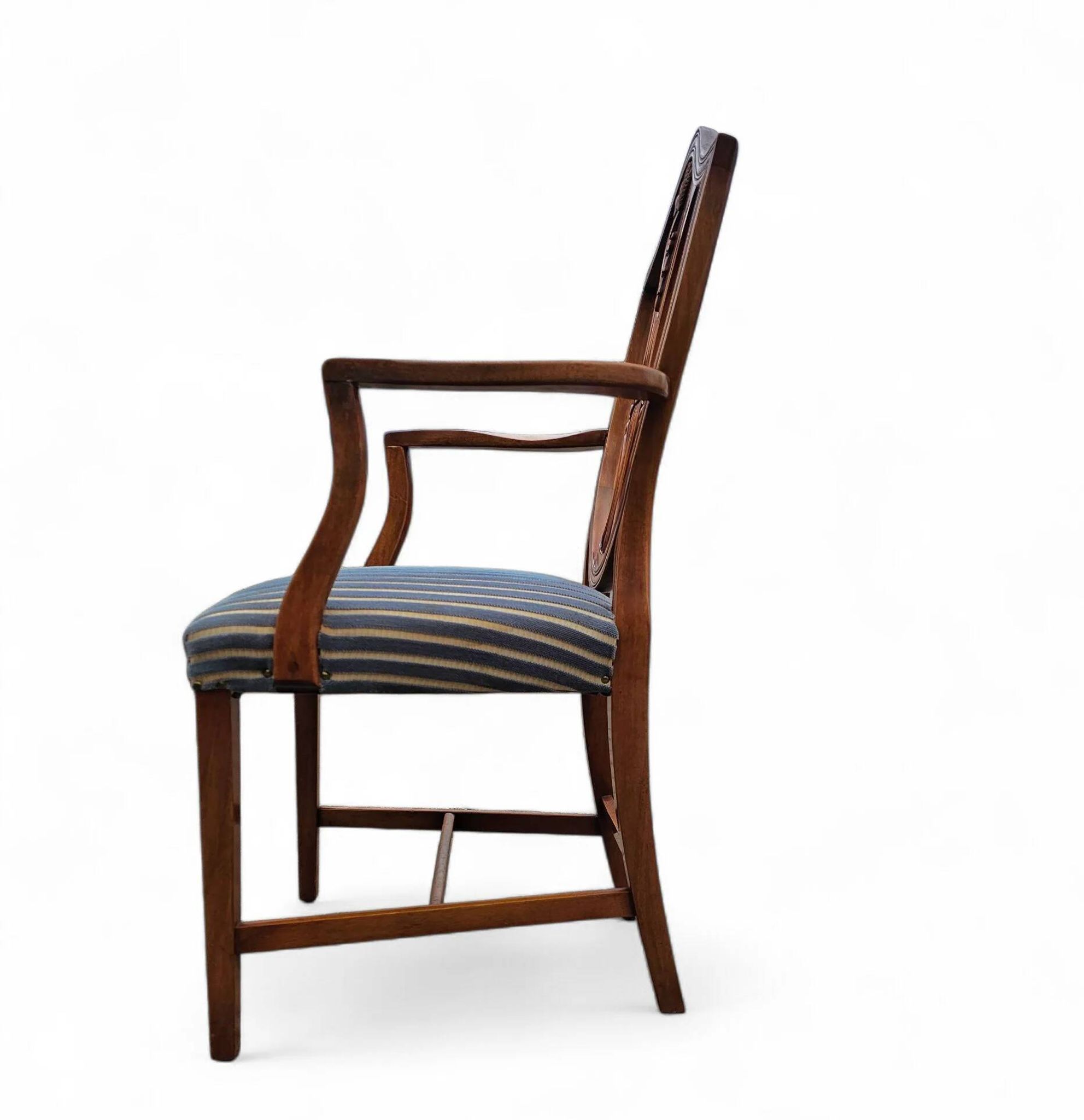 6 x English mahogany Hepplewhite chairs / 1920s