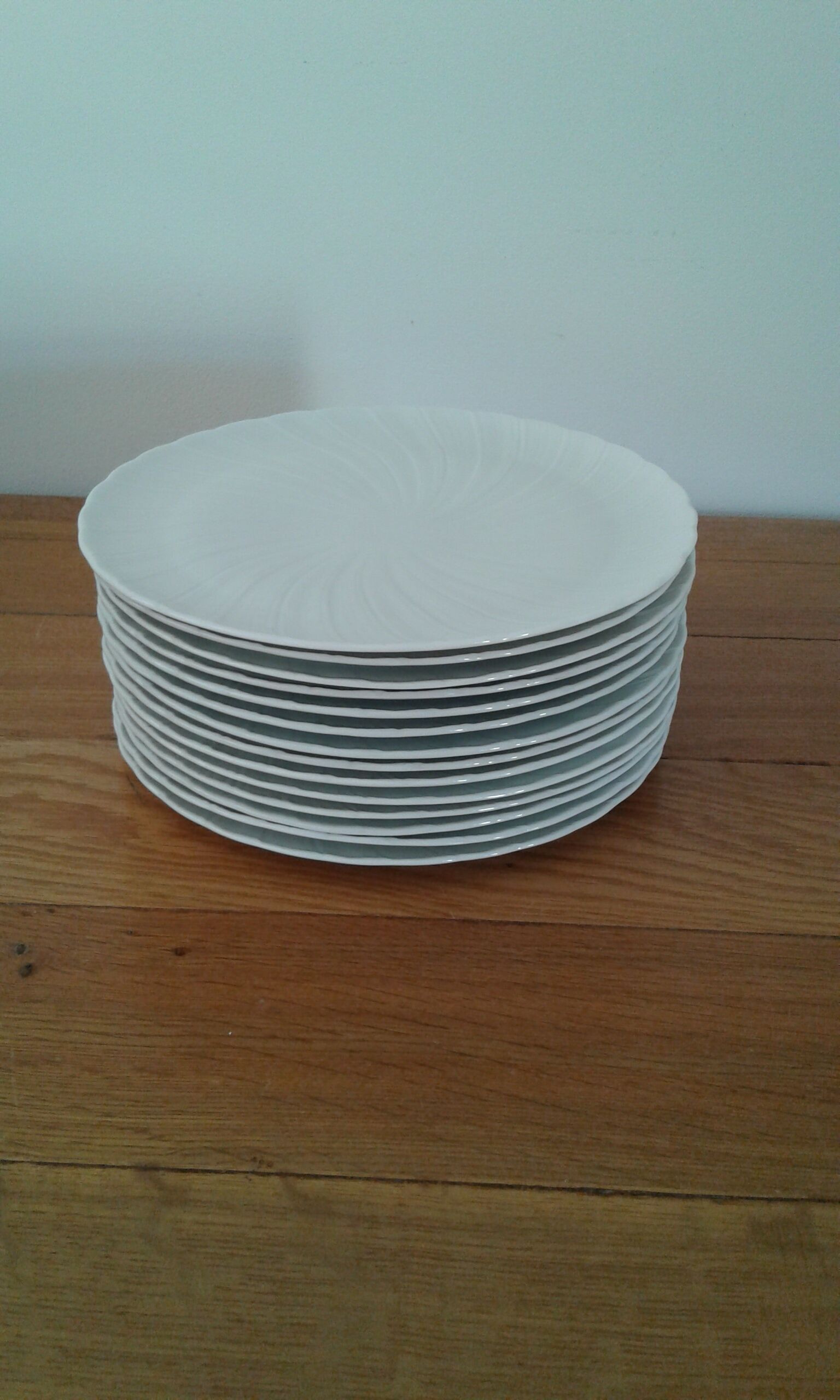 13 Plates . porcelain limoges.  B and Co. 20 cm diameter