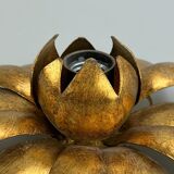 Wall sconce in brass