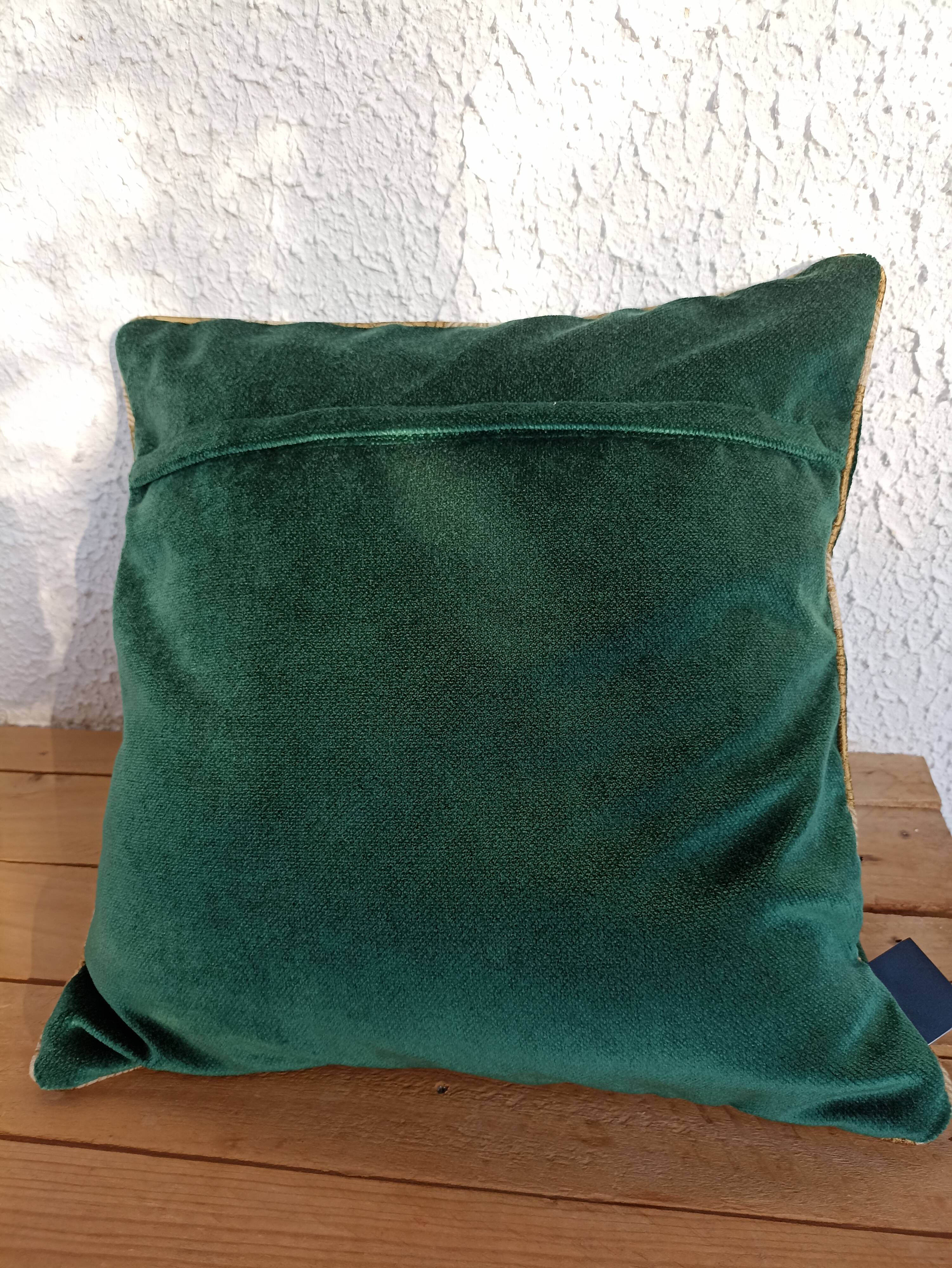 Coussin velours 40x40 couleur vert